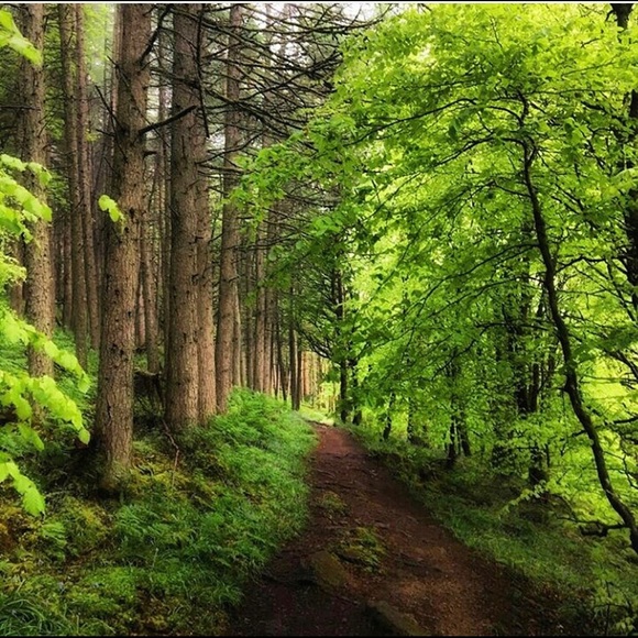 Meet your Posher, Jill - Picture 1 of 1